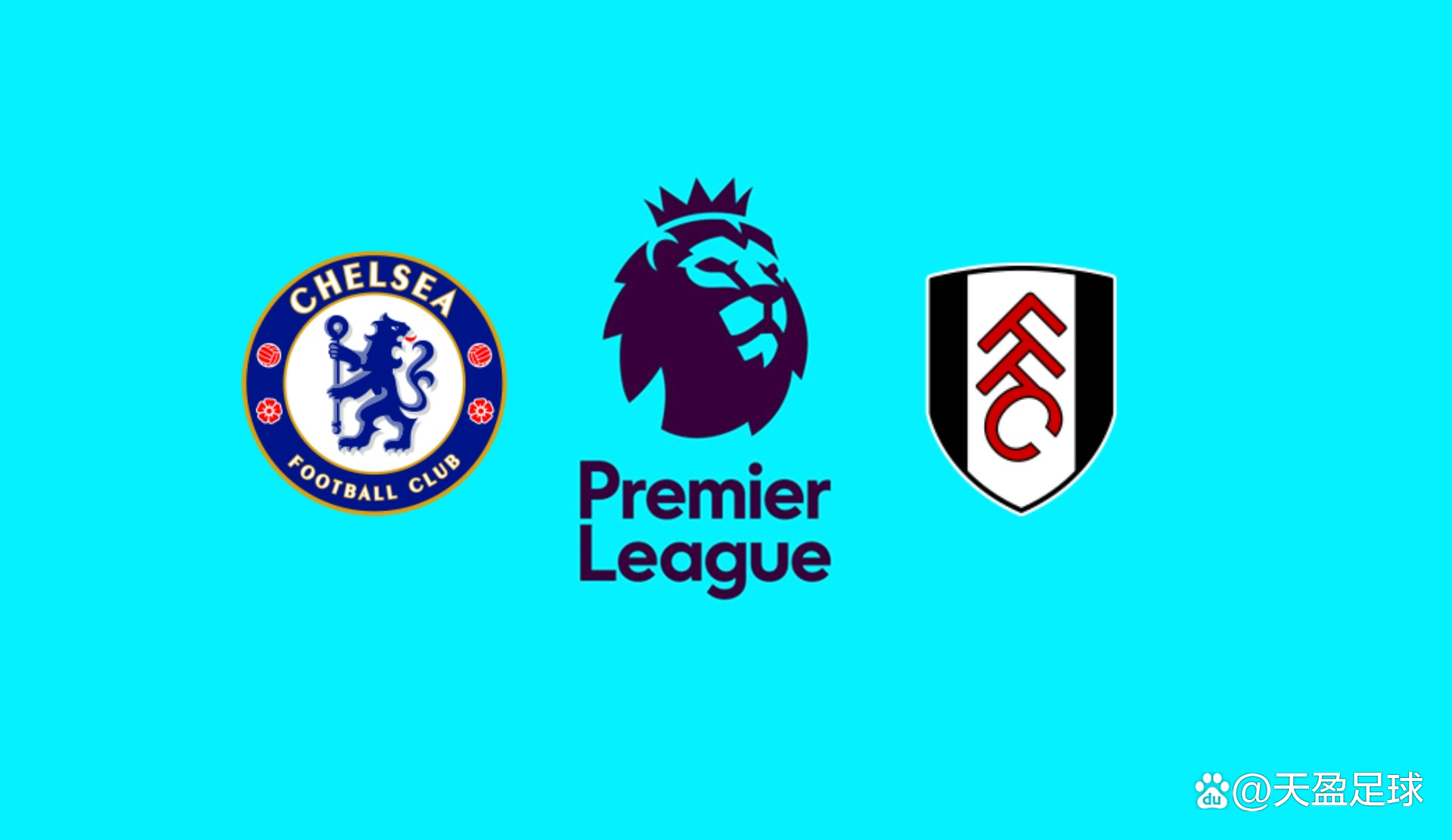 沪媒：足协杯决赛有六成是河南球迷，“球迷专列”重现江湖