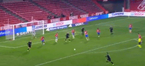 多样性与包容性报告发布